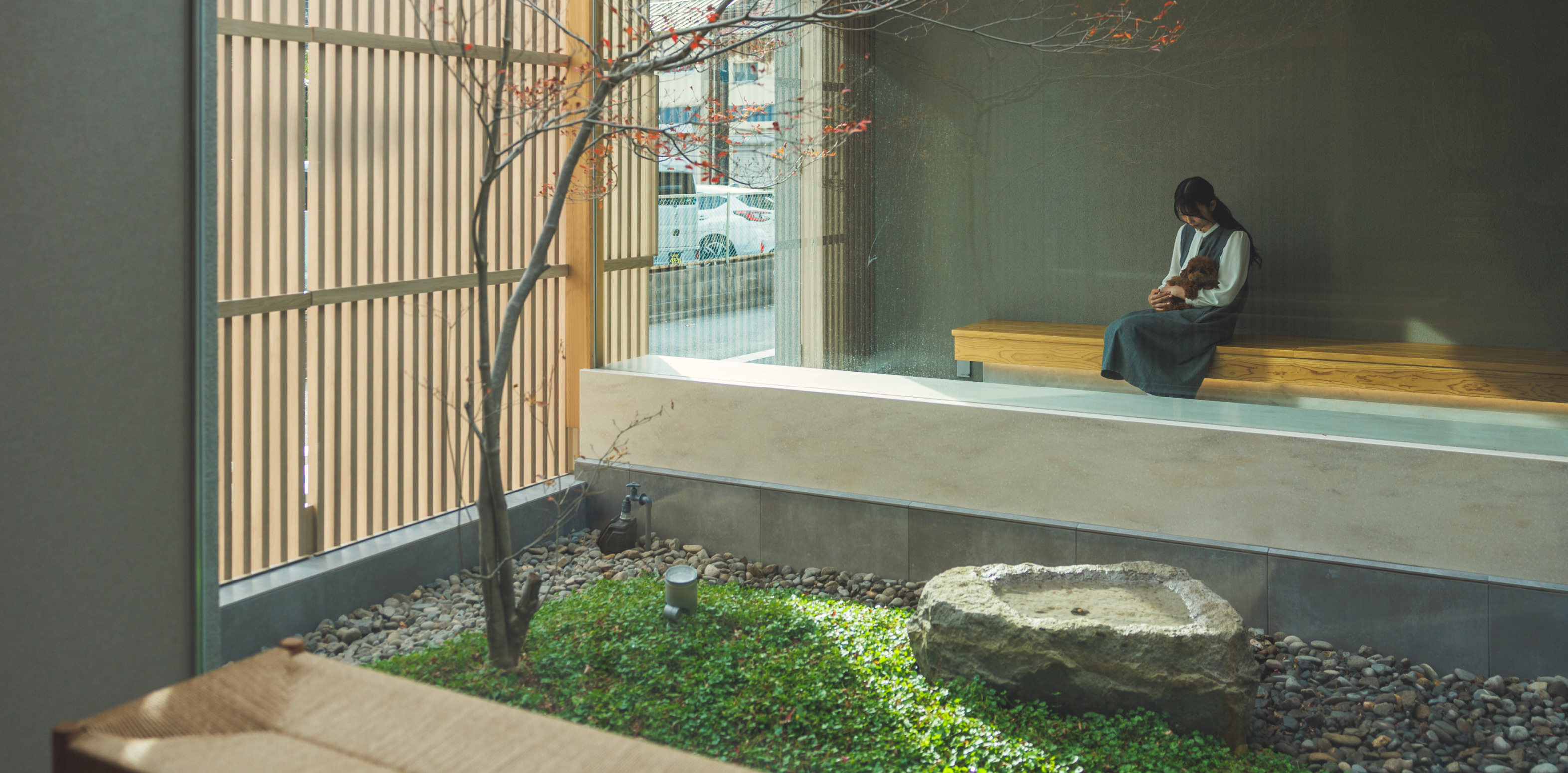 宝樹のイメージ