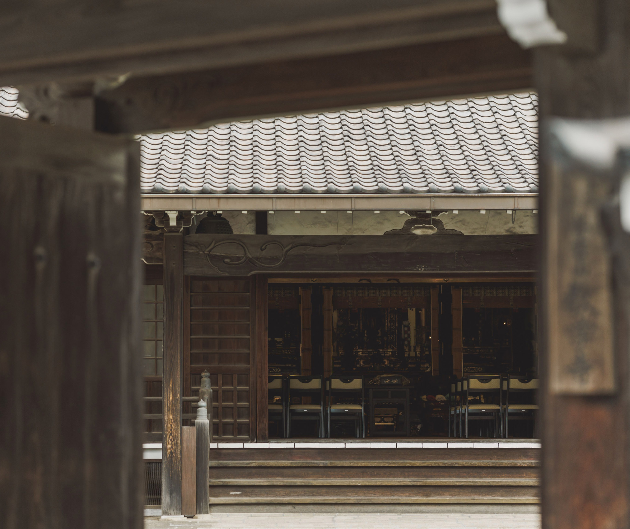 宝樹のイメージ