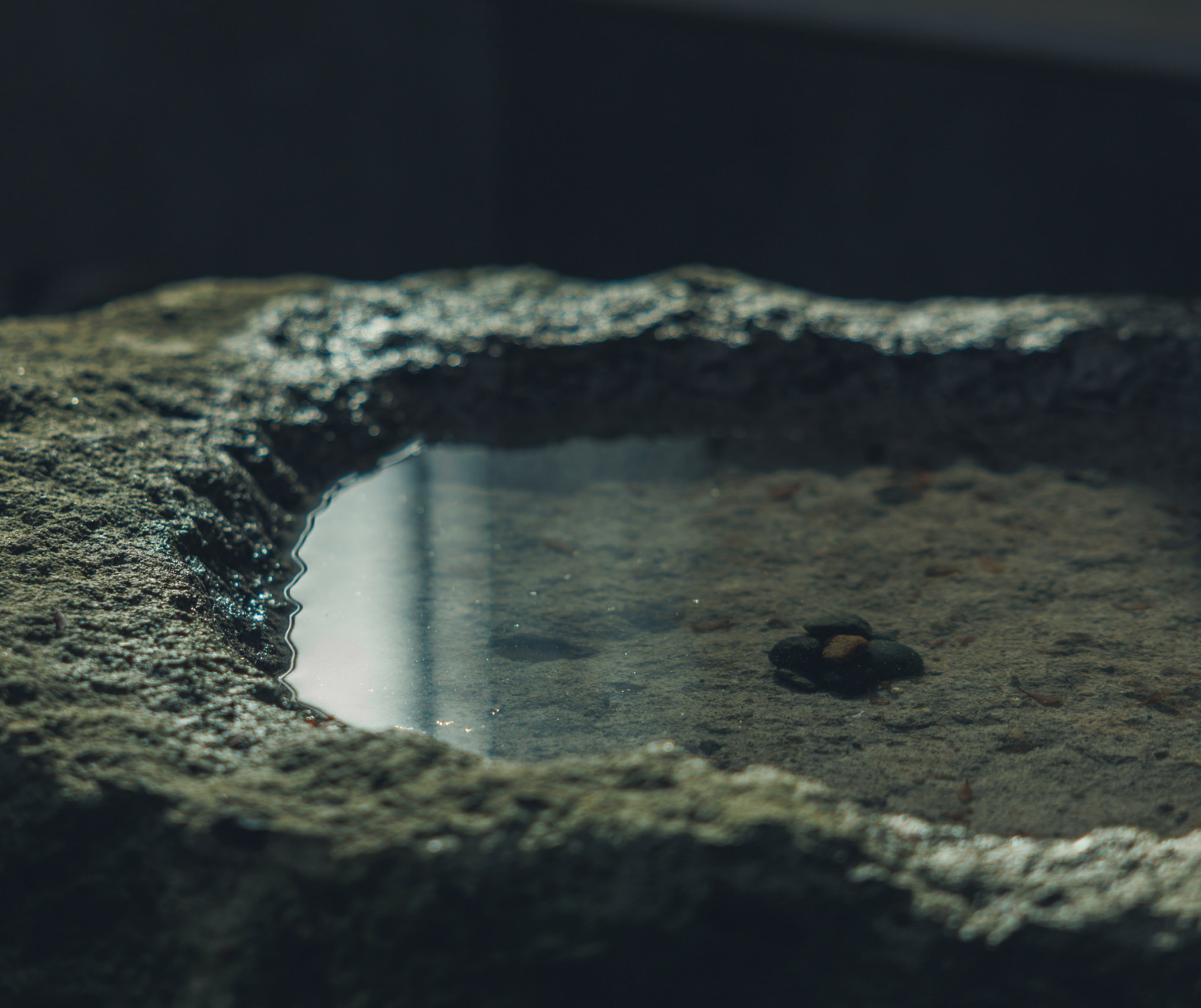 宝樹のイメージ